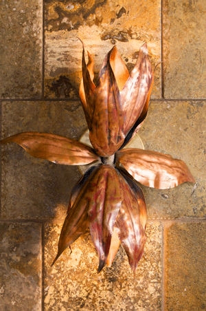 Leaf-Wall-Sconce