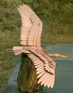 Copper-Stork