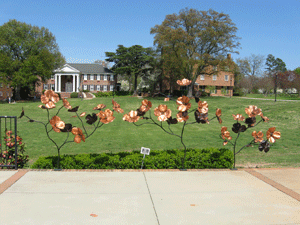 Dogwood-Sculpture