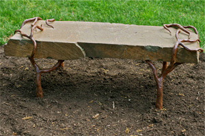 Rock-and-Root-Bench